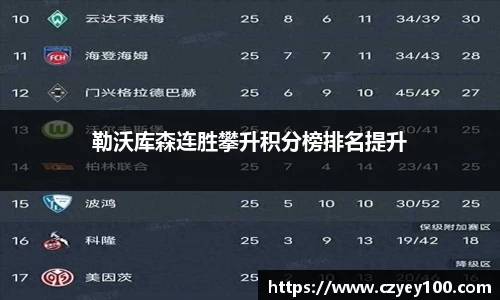 勒沃库森连胜攀升积分榜排名提升