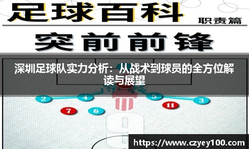 深圳足球队实力分析：从战术到球员的全方位解读与展望